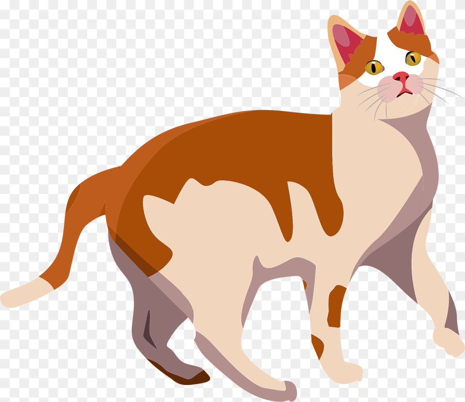 Orange And White Cat Clipart, Animal, Mammal, Pet, Manx Free Png