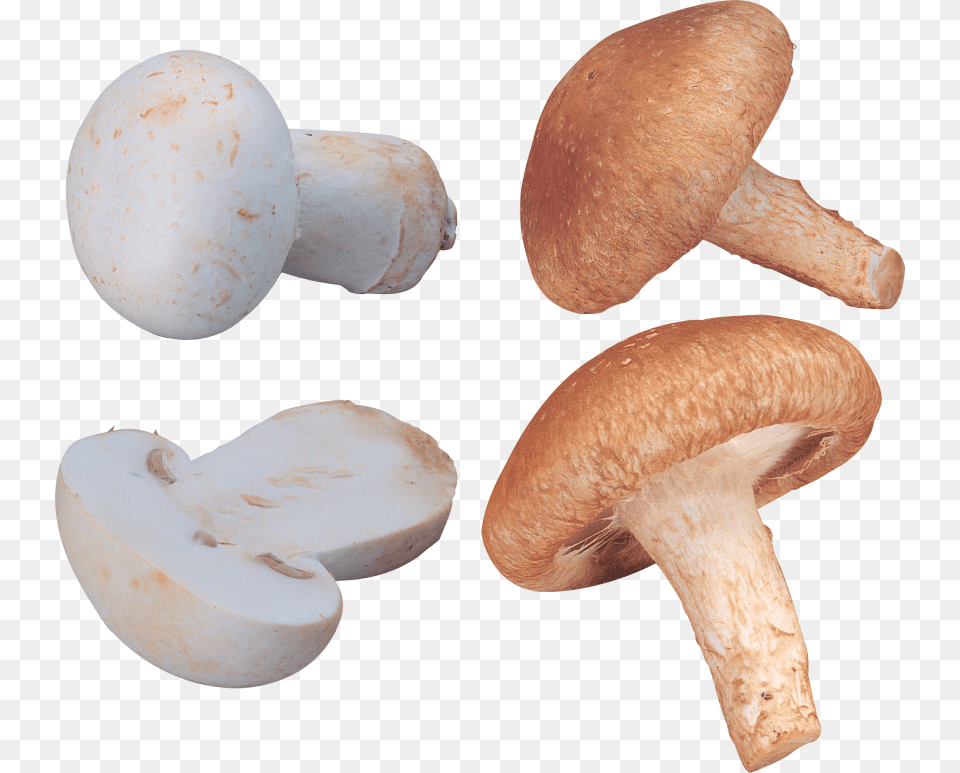 Orange And White Mushrooms Images, Fungus, Plant, Egg, Food Png Image