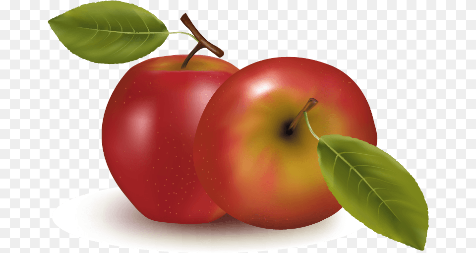 Orange Apple Apricot Cherry Plum Images Vector 8 Kinds Of Fruits, Food, Fruit, Plant, Produce Png Image