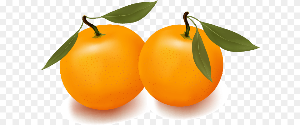 Orange Apple Apricot Cherry Plum Images Vector Fruits Vector, Citrus Fruit, Food, Fruit, Grapefruit Png