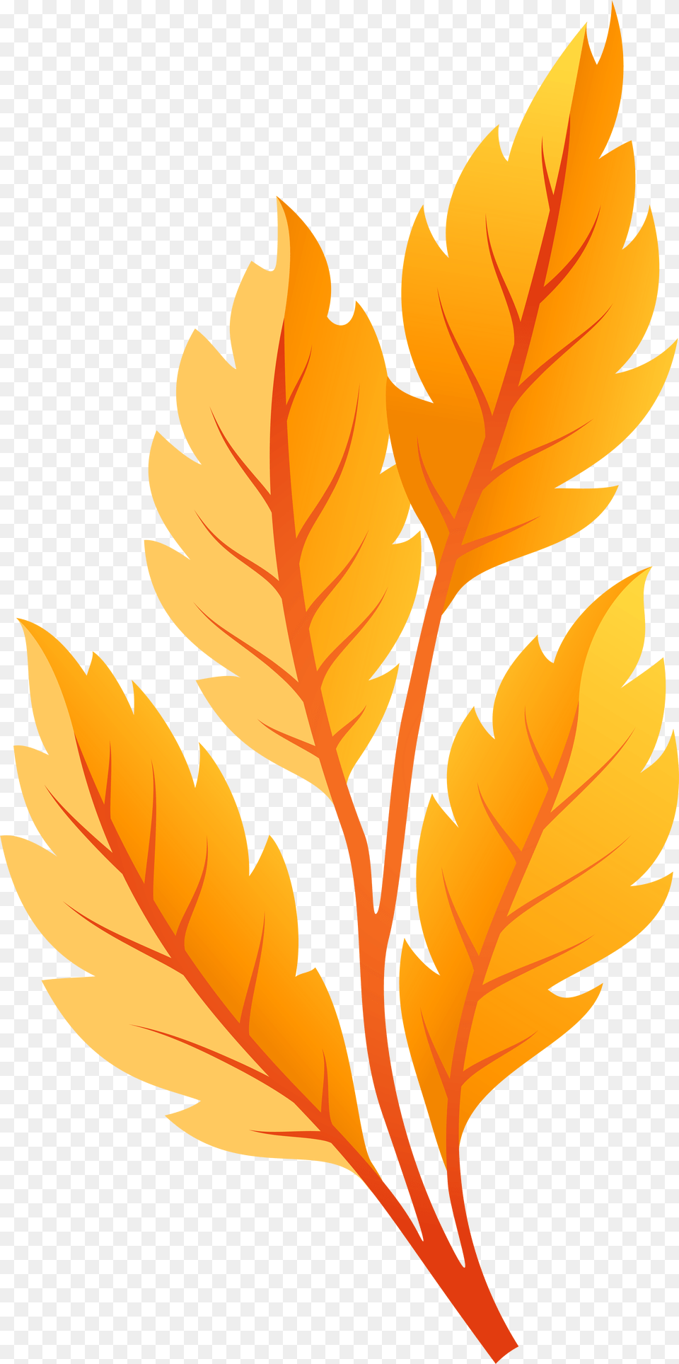 Orange Autumn Leaves Clip Art Clip Art Yellow Leaf, Plant, Tree Png Image
