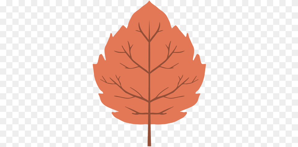Orange Autumn Maple Leaf Transparent U0026 Svg Vector File Illustration, Plant, Tree, Person, Maple Leaf Free Png Download