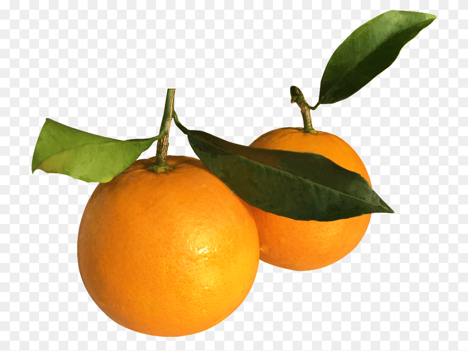 Orange Base Real Shot Free Download Vector, Citrus Fruit, Food, Fruit, Grapefruit Png