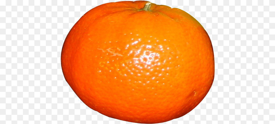 Orange Big Of Orange Fruit, Citrus Fruit, Food, Plant, Produce Png Image