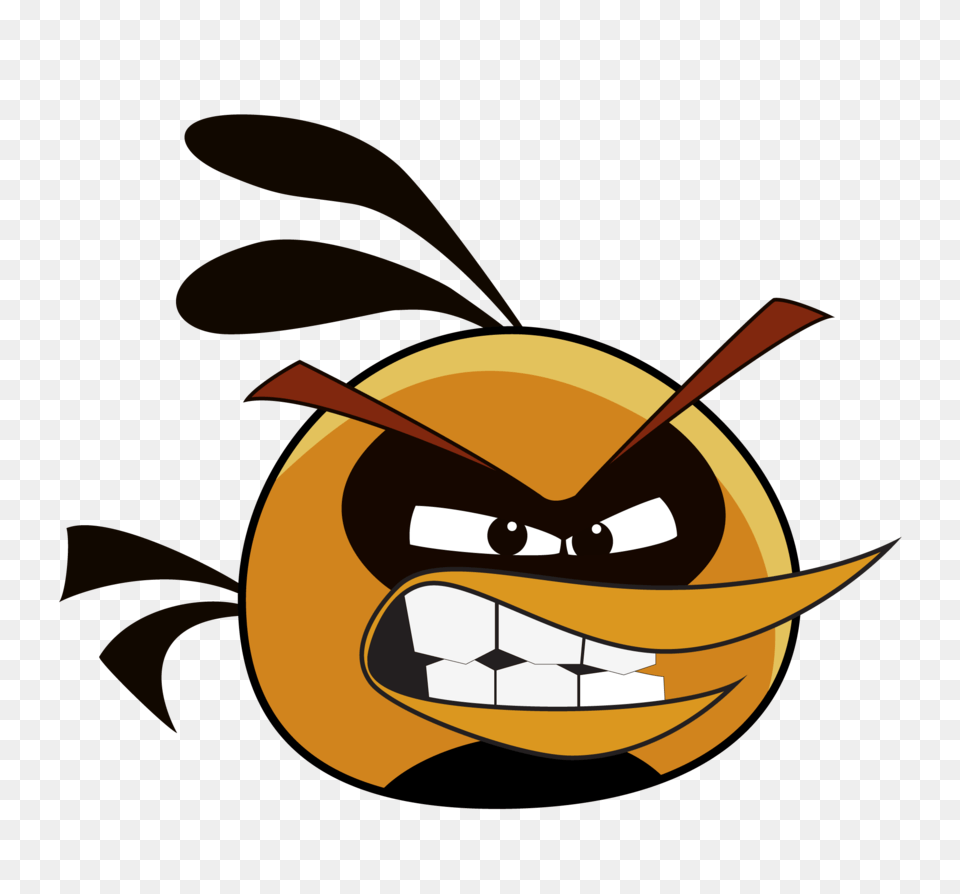 Orange Bird, Animal, Invertebrate, Insect, Bee Free Png