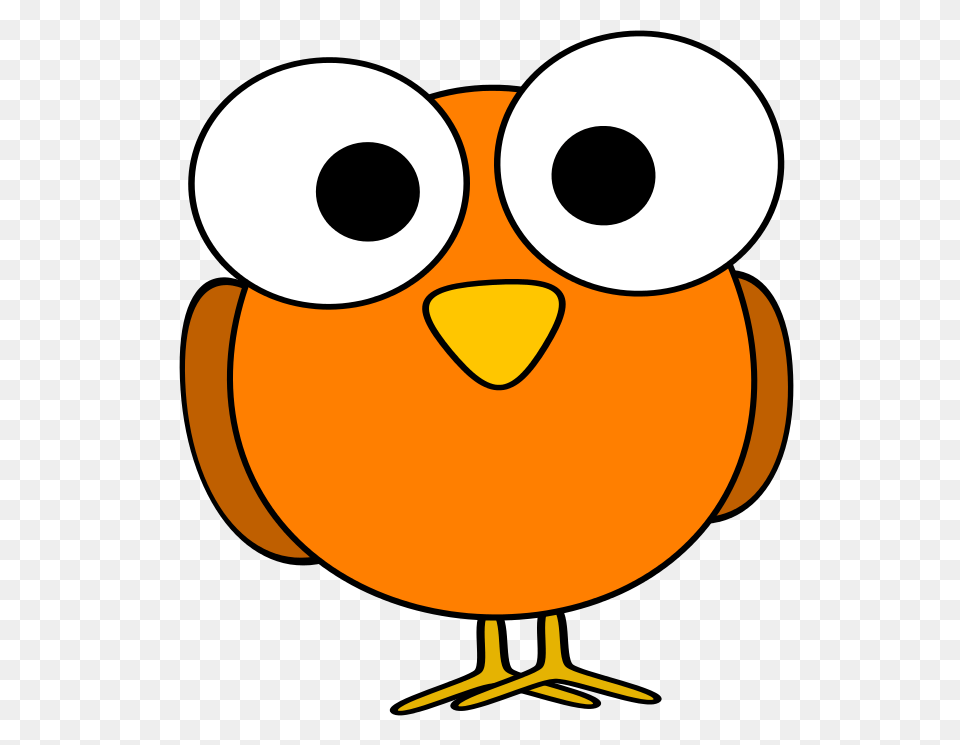 Orange Bird, Animal, Beak Free Transparent Png