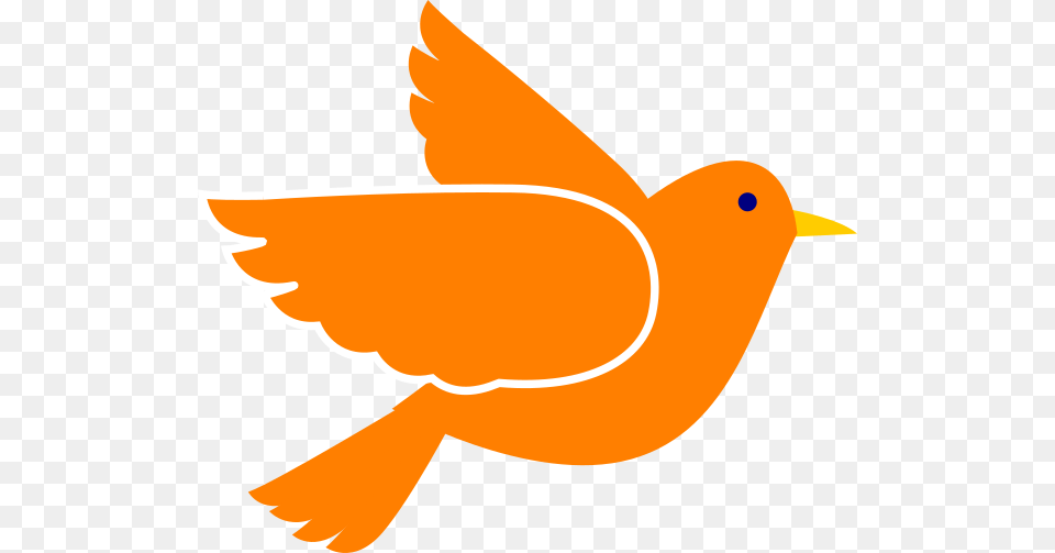 Orange Bird Clip Art, Animal, Pigeon Free Png
