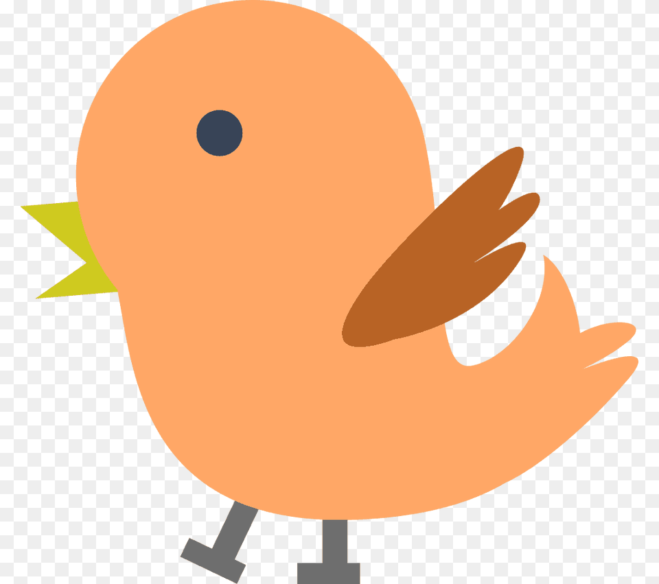 Orange Bird Clipart, Animal, Baby, Person Free Transparent Png