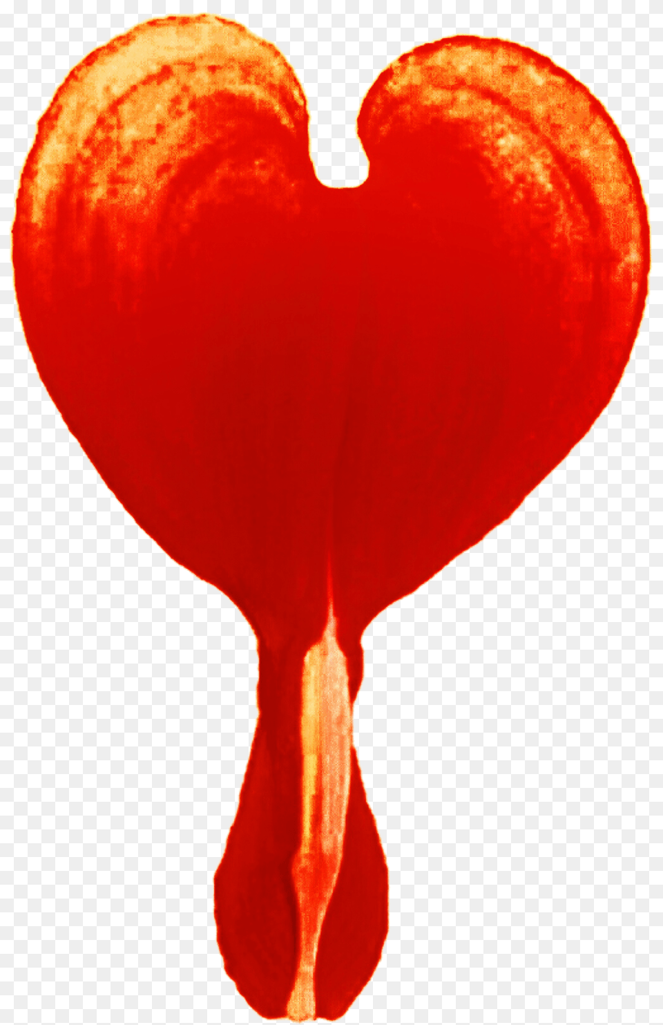 Orange Bleeding Heart, Food, Sweets, Candy, Ketchup Png Image