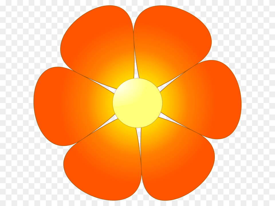 Orange Blossom Drawing Transparent Flower Clipart No Background, Anemone, Plant, Petal, Daisy Free Png