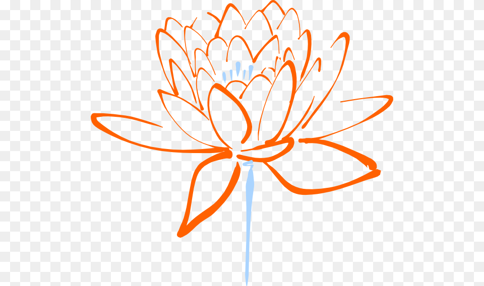 Orange Blue Lotus Svg Clip Arts 600 X 568 Px, Dahlia, Daisy, Flower, Plant Free Png Download