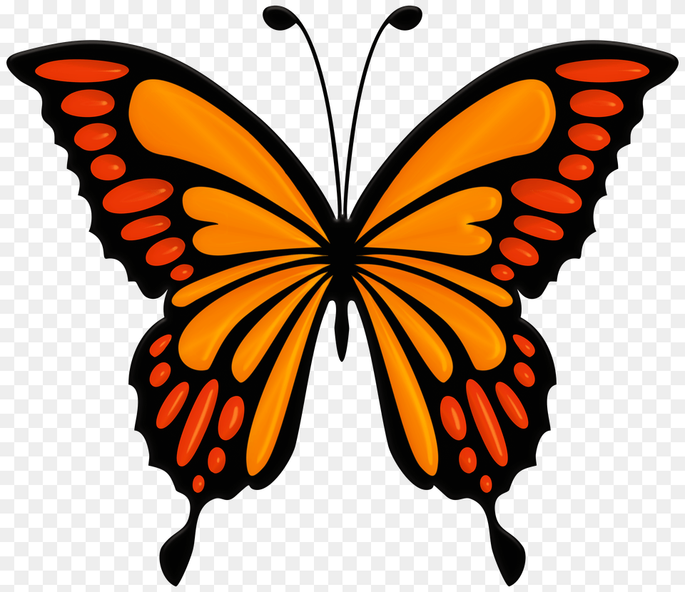 Orange Butterfly Clip Art Free Png Download