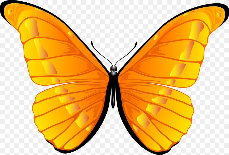 Orange Butterfly Clip Art Clipart 7000 4739 Bbq Butterfly Clipart, Animal, Insect, Invertebrate Free Png