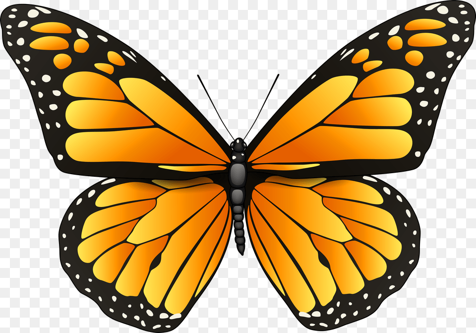 Orange Butterfly Clip Art Orange Butterfly, Animal, Insect, Invertebrate, Monarch Png Image