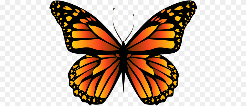 Orange Butterfly Clipar Image Clip Art Orange Butterfly Clipart, Animal, Insect, Invertebrate, Monarch Free Png Download