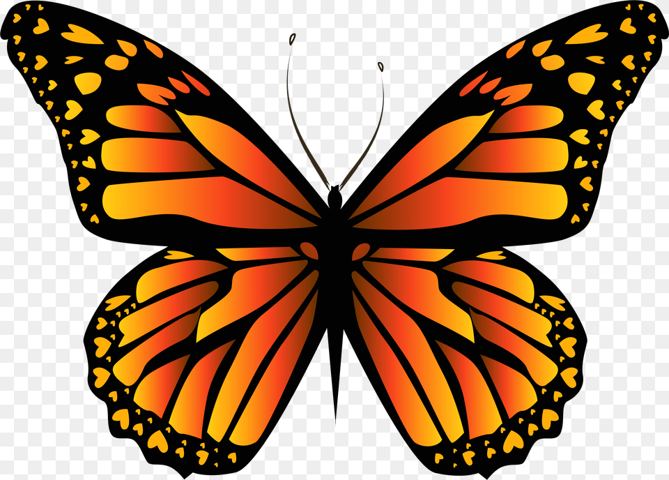 Orange Butterfly Clipar Image Monarch Butterfly, Animal, Insect, Invertebrate Free Transparent Png