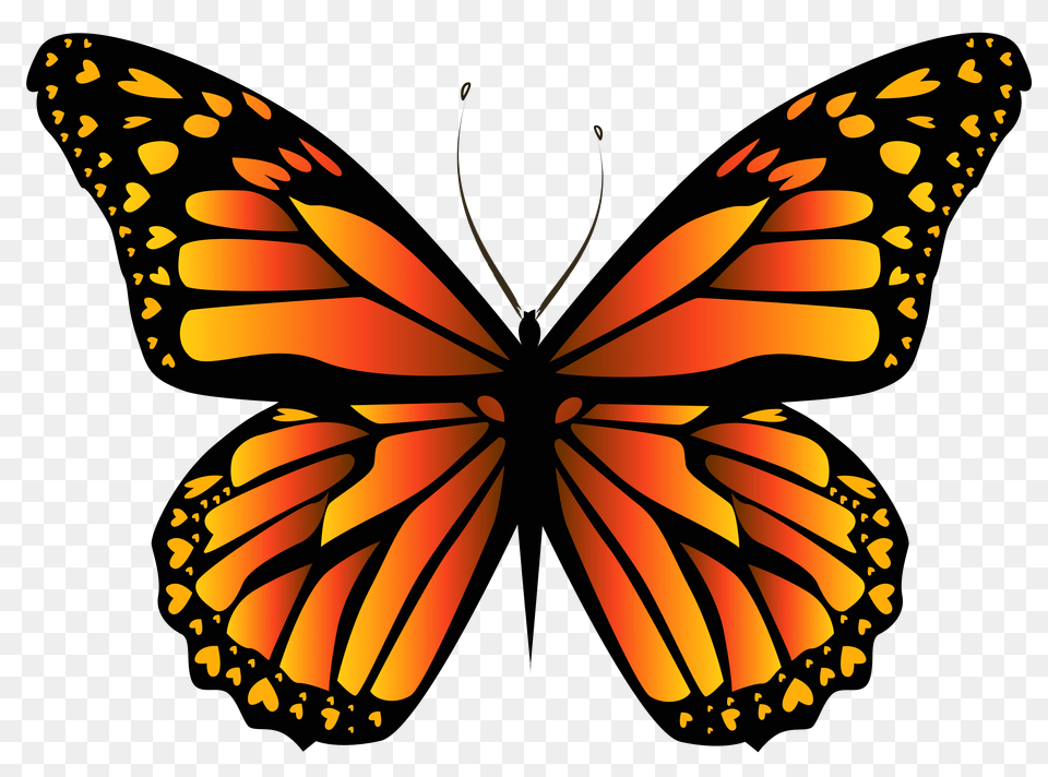 Orange Butterfly Clipar Image Transparent Orange Butterfly, Animal, Insect, Invertebrate, Monarch Free Png