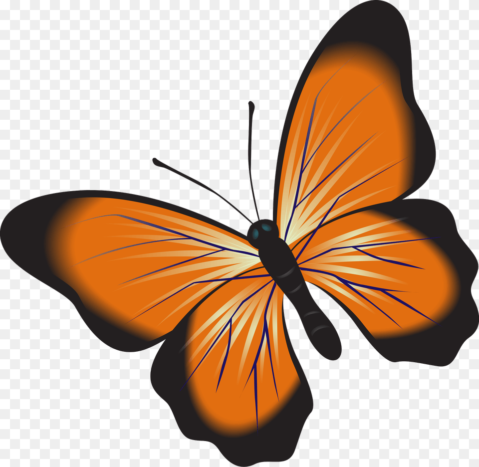 Orange Butterfly Clipart, Animal, Insect, Invertebrate, Face Free Transparent Png