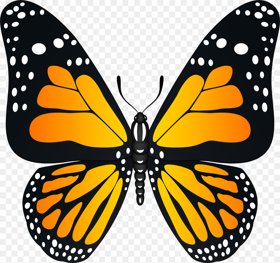 Orange Butterfly Clipart Yellow, Animal, Insect, Invertebrate, Monarch Png