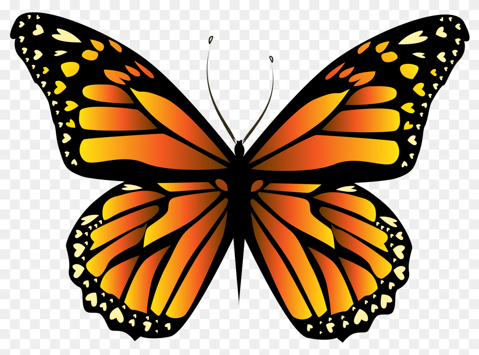 Orange Butterfly Clipart Yellow Butterfly, Animal, Insect, Invertebrate, Monarch Free Png Download