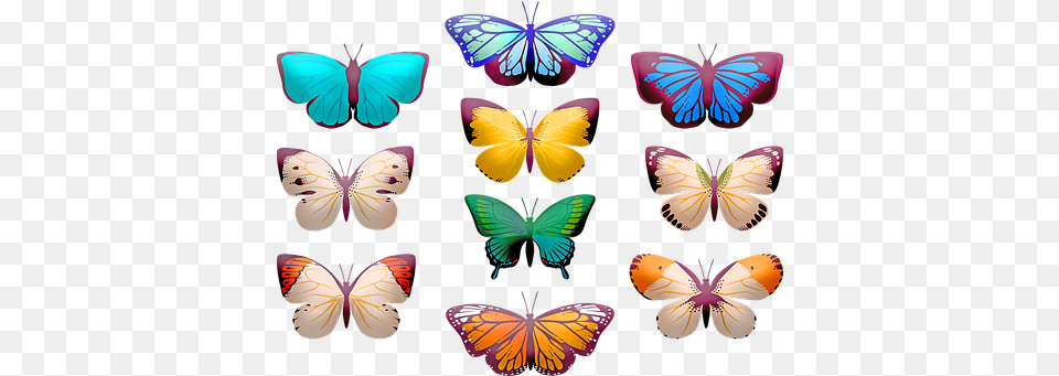 Orange Butterfly U0026 Images Pixabay Clip Art Butterfly, Animal, Insect, Invertebrate, Monarch Free Transparent Png