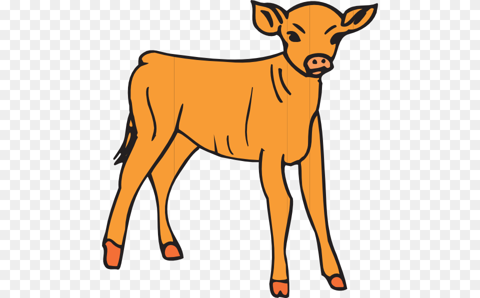 Orange Calf Clip Art, Animal, Cattle, Cow, Livestock Free Png Download