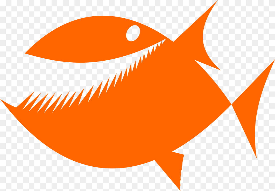 Orange Cartoon Fische Karte, Animal, Fish, Sea Life, Shark Free Png