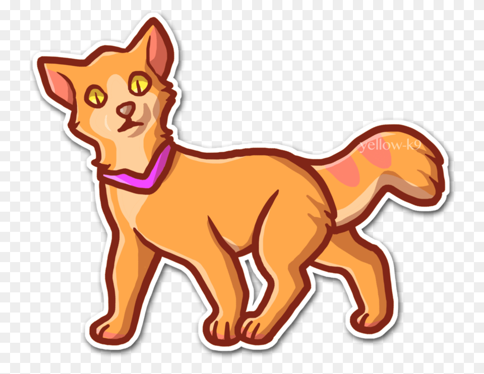 Orange Cat, Animal, Mammal, Pet, Abyssinian Free Png Download