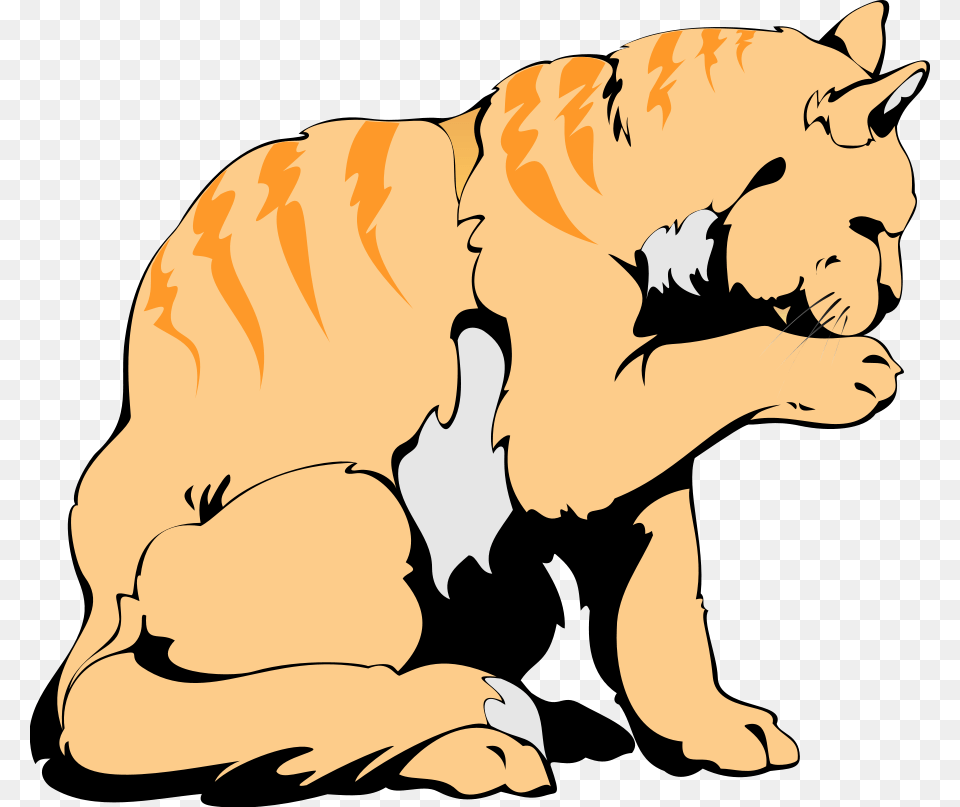 Orange Cat Art Design Svg Clip Arts Cat, Baby, Person, Animal, Lion Free Transparent Png