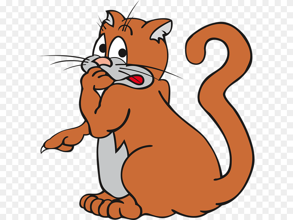 Orange Cat Clipart 19 Buy Clip Art Funny Photos For Instagram Profile, Baby, Person, Face, Head Free Png