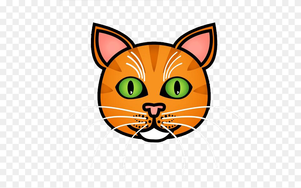 Orange Cat Nose Download Nariz De Gato Dibujo, Animal, Mammal, Pet, Baby Free Png