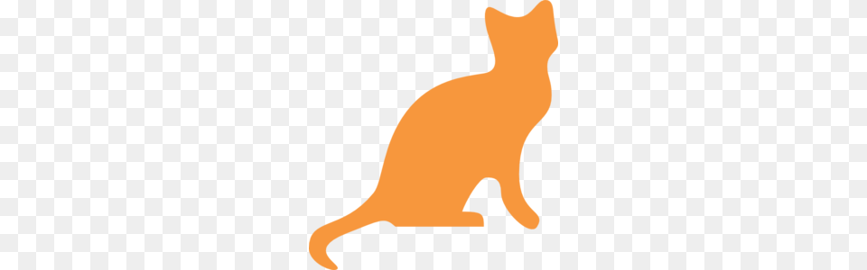 Orange Cat Outline Clipart, Animal, Mammal, Pet, Baby Png