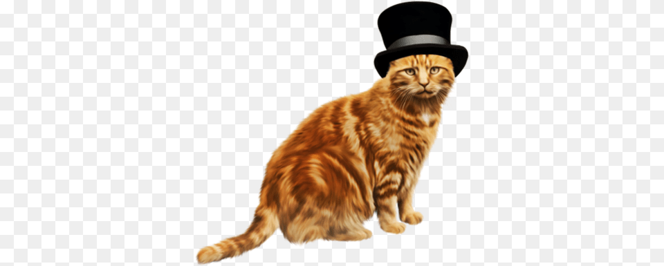 Orange Cat With A Hat Transparent, Clothing, Animal, Mammal, Manx Png Image