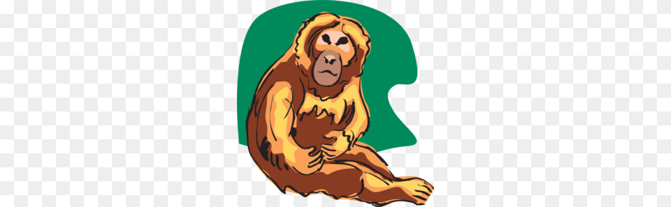 Orange Chimp Clip Art, Baby, Person, Animal, Mammal Free Png