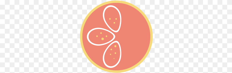 Orange Circle Logo Graphics Grapefruit Soda, Citrus Fruit, Food, Fruit, Plant Free Transparent Png