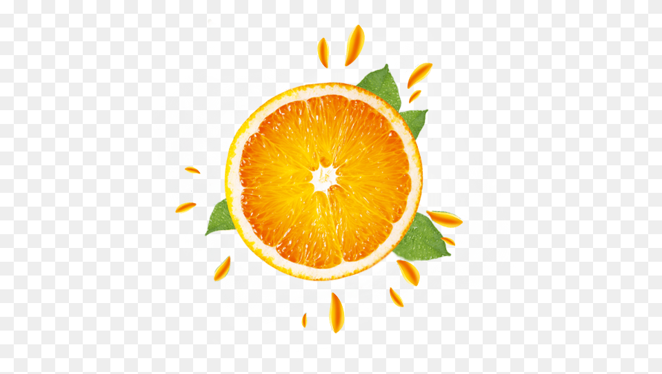 Orange Clementine, Grapefruit, Citrus Fruit, Produce, Food Free Png Download