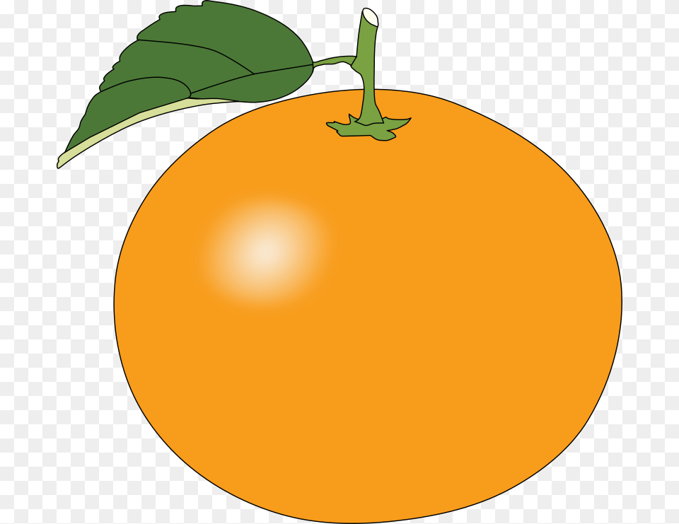 Orange Clip Art, Produce, Citrus Fruit, Food, Fruit Png Image