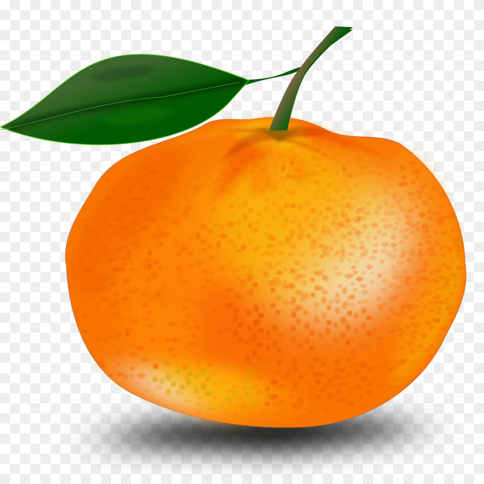 Orange Clip Art Images, Produce, Citrus Fruit, Food, Fruit Png