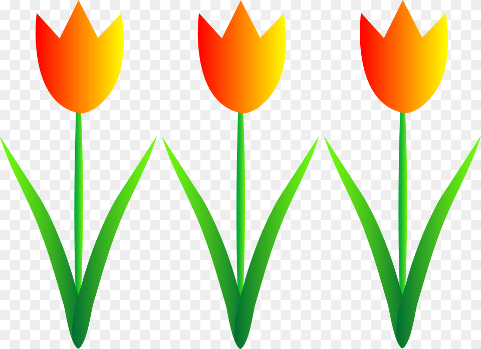 Orange Clip Art Tulips, Graphics, Pattern Free Transparent Png