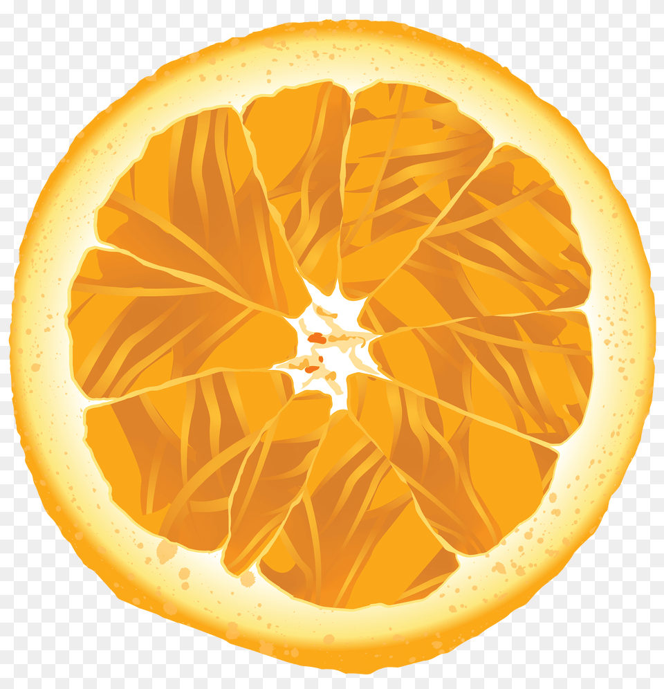 Orange Clipart, Citrus Fruit, Food, Fruit, Plant Free Transparent Png