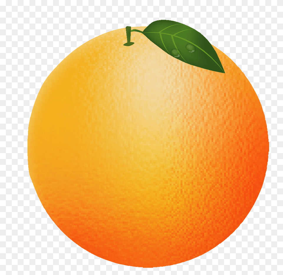 Orange Clipart, Produce, Citrus Fruit, Food, Fruit Png Image