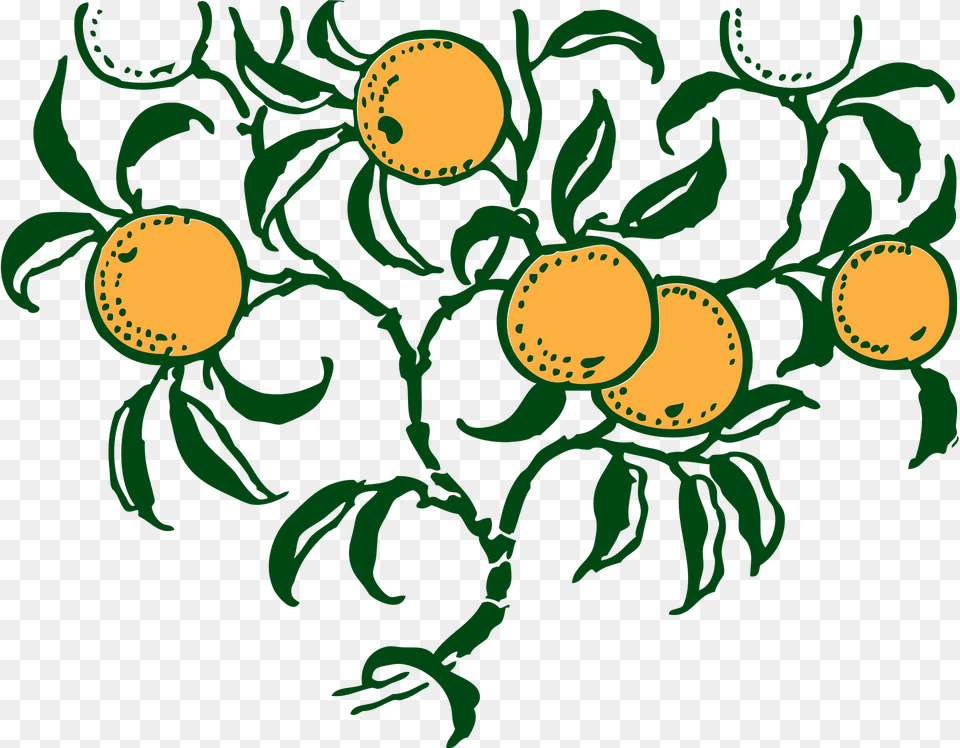 Orange Clipart, Food, Fruit, Plant, Produce Free Png