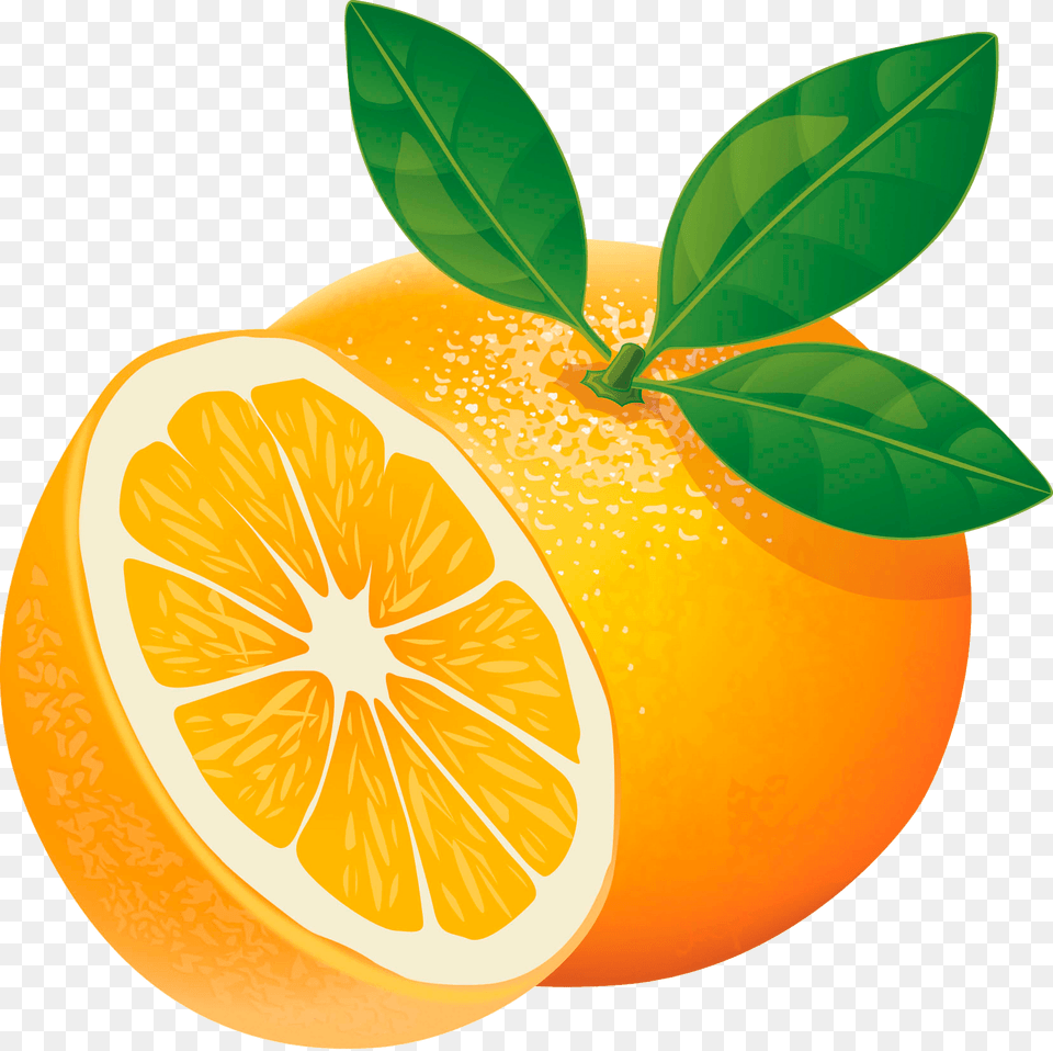 Orange Clipart, Citrus Fruit, Food, Fruit, Grapefruit Png