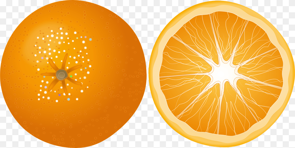 Orange Clipart, Citrus Fruit, Food, Fruit, Plant Free Transparent Png