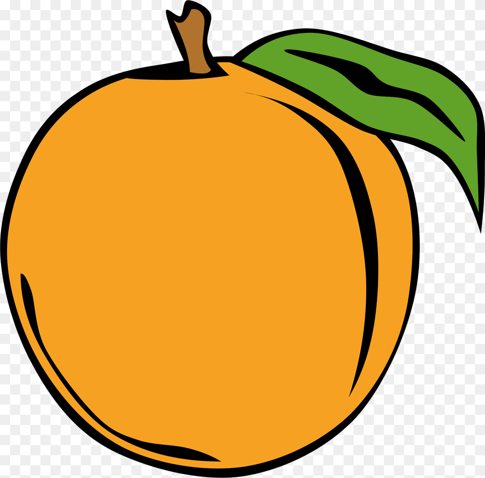 Orange Clipart, Food, Fruit, Plant, Produce Free Png