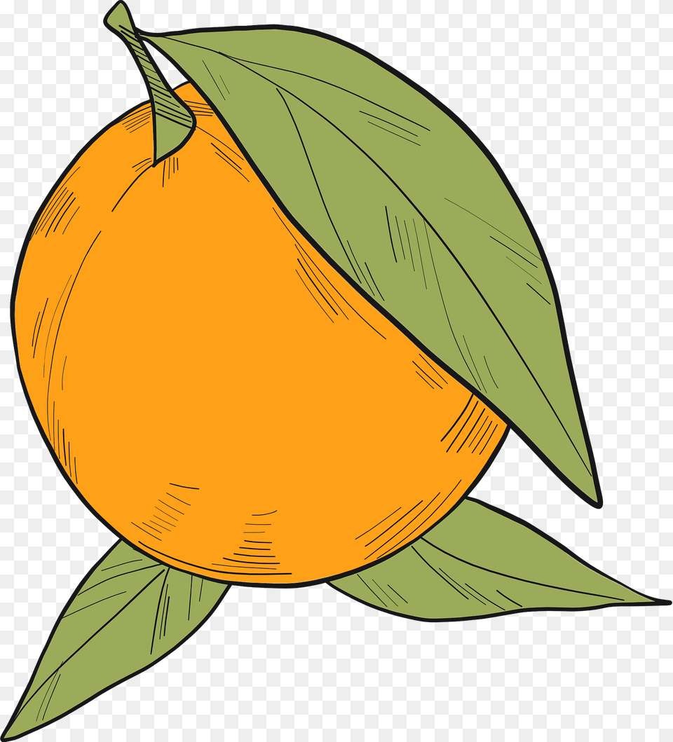 Orange Clipart, Citrus Fruit, Food, Fruit, Produce Free Png Download