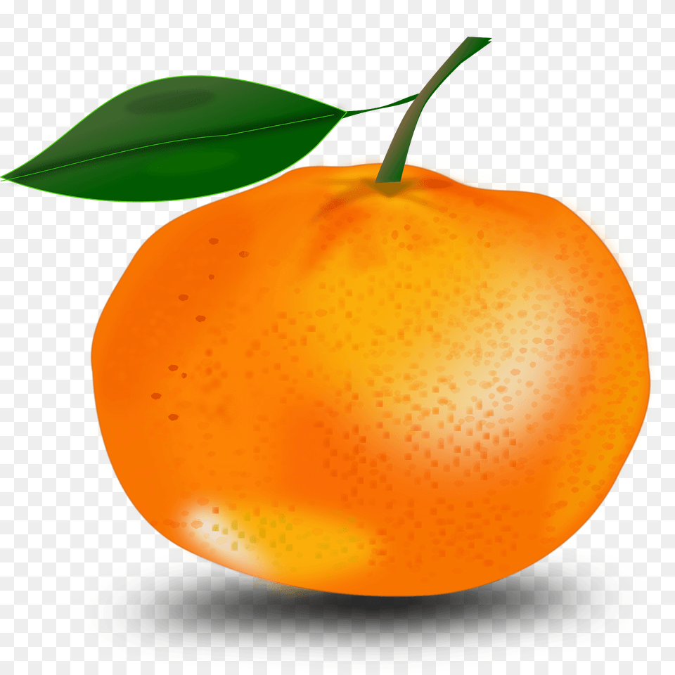 Orange Clipart, Citrus Fruit, Plant, Produce, Grapefruit Free Png Download