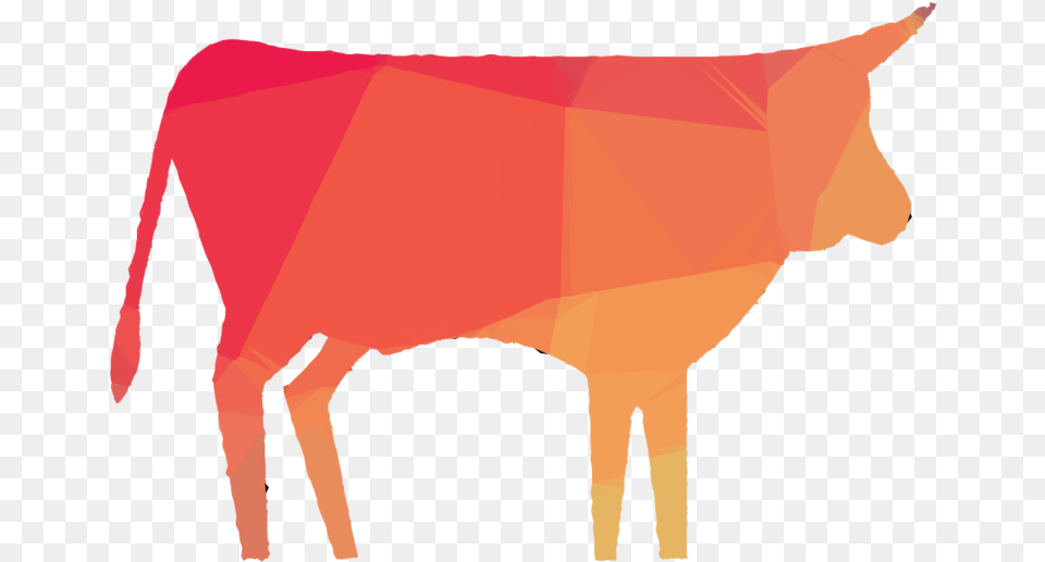 Orange Clipart Cattle Ox Clip Art, Livestock, Animal, Mammal, Person Png