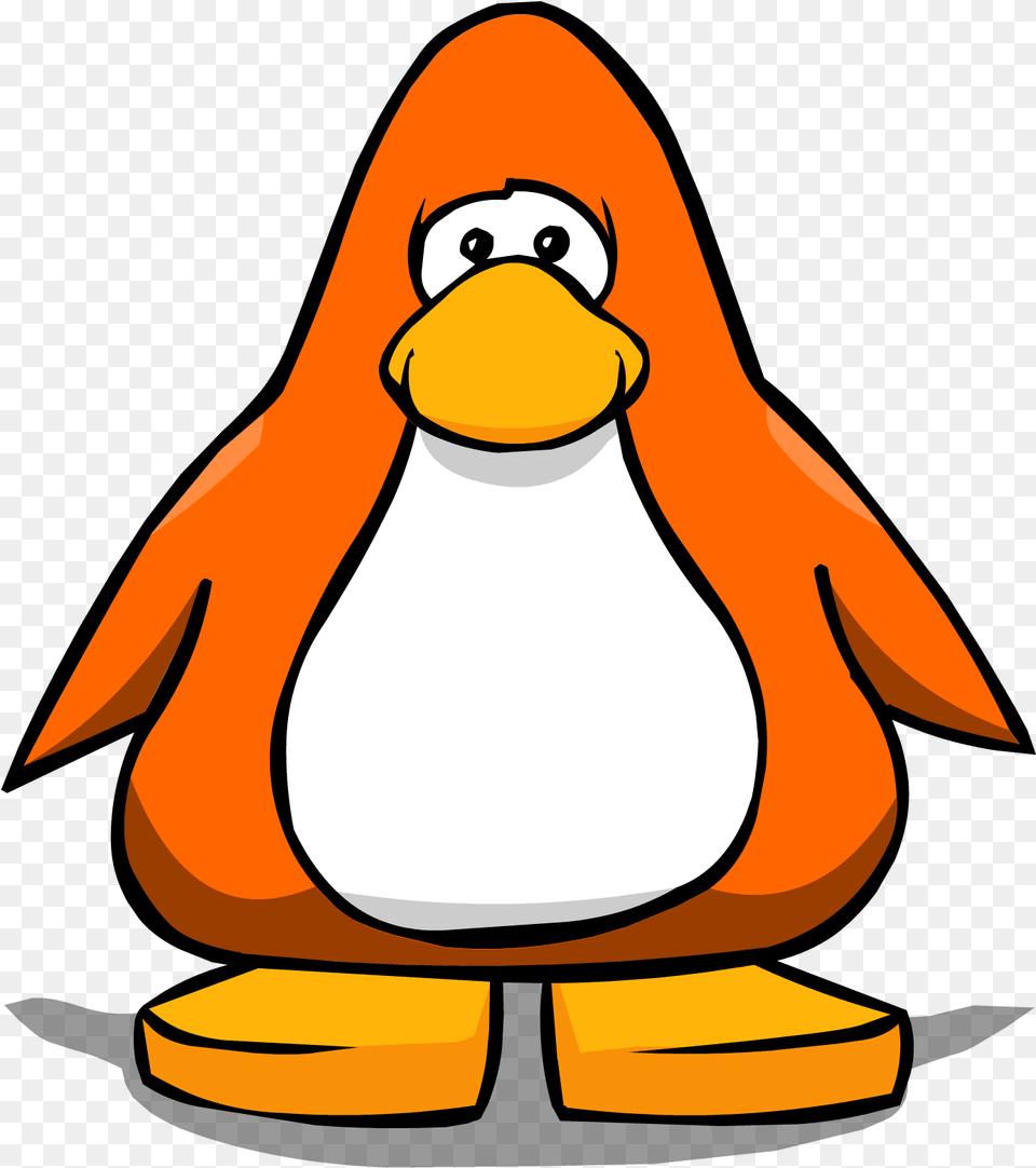 Orange Club Penguin Rewritten Wiki Club Penguin White Penguin, Animal, Bird Png