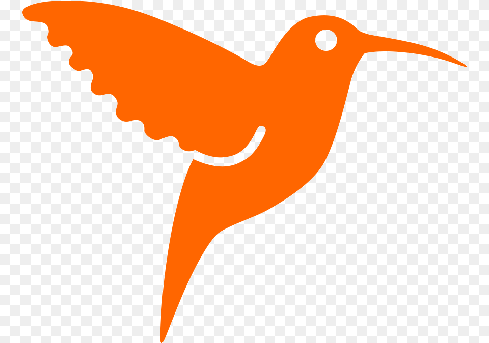 Orange Colibri, Animal, Beak, Bird, Hummingbird Png